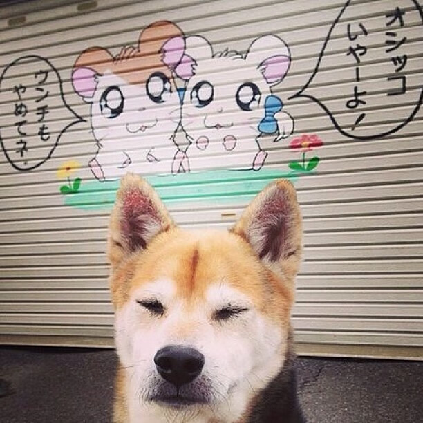 史上最感人励志：球员在低谷如何重新出发？，球星 励志