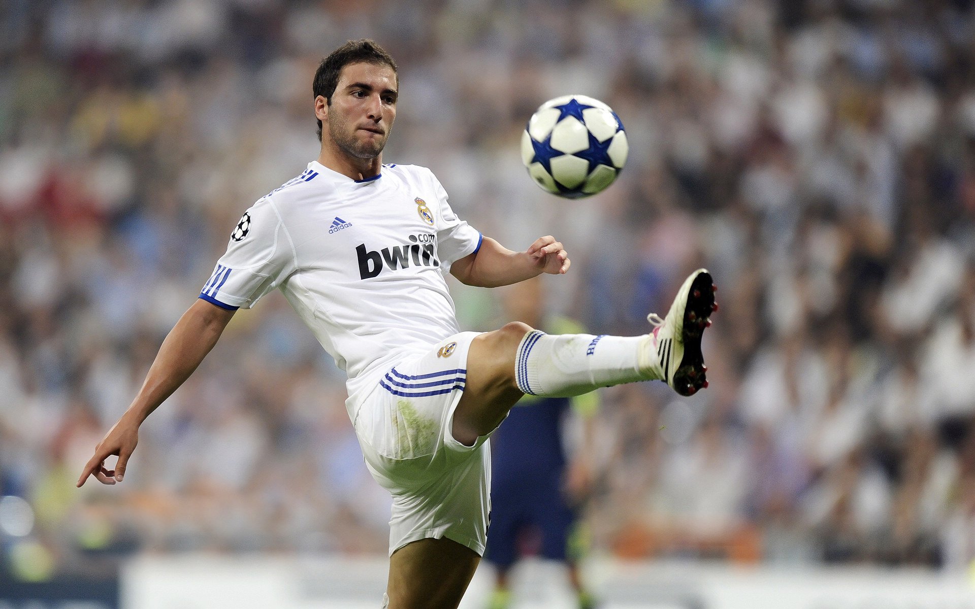 凯恩·瑞安：从全黑队新人到重要成员，逐渐步入巅峰，凯恩主角