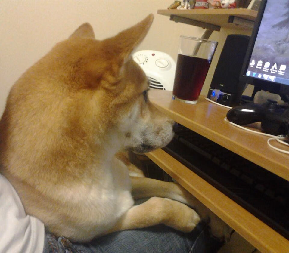 【高速投球分析】新技术帮助投手轻松突破极速极限!,高速发球